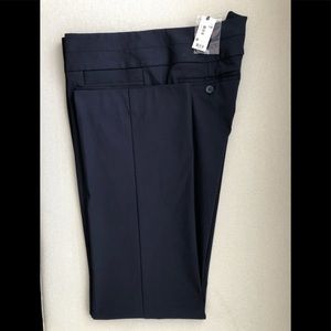 The Limited Exact Stretch pants